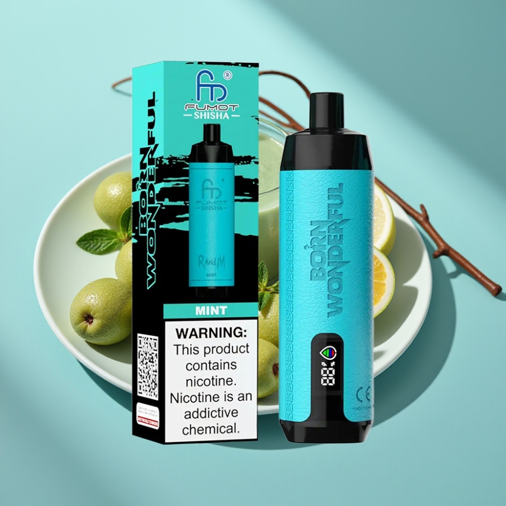 RandM Fumot Shisha 10000 Puffs LED 0.6ohm Mięta