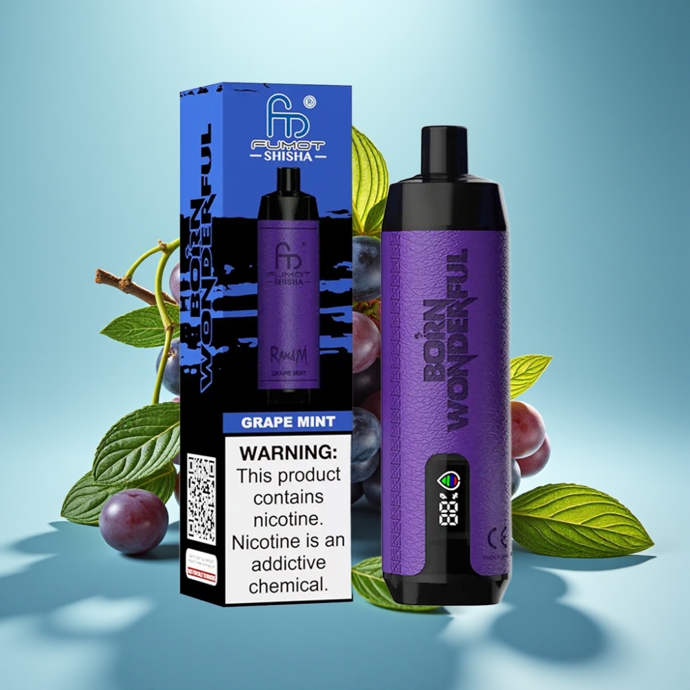 RandM Fumot Shisha 10000 Puffs LED Typ-C Winogrono Mięta