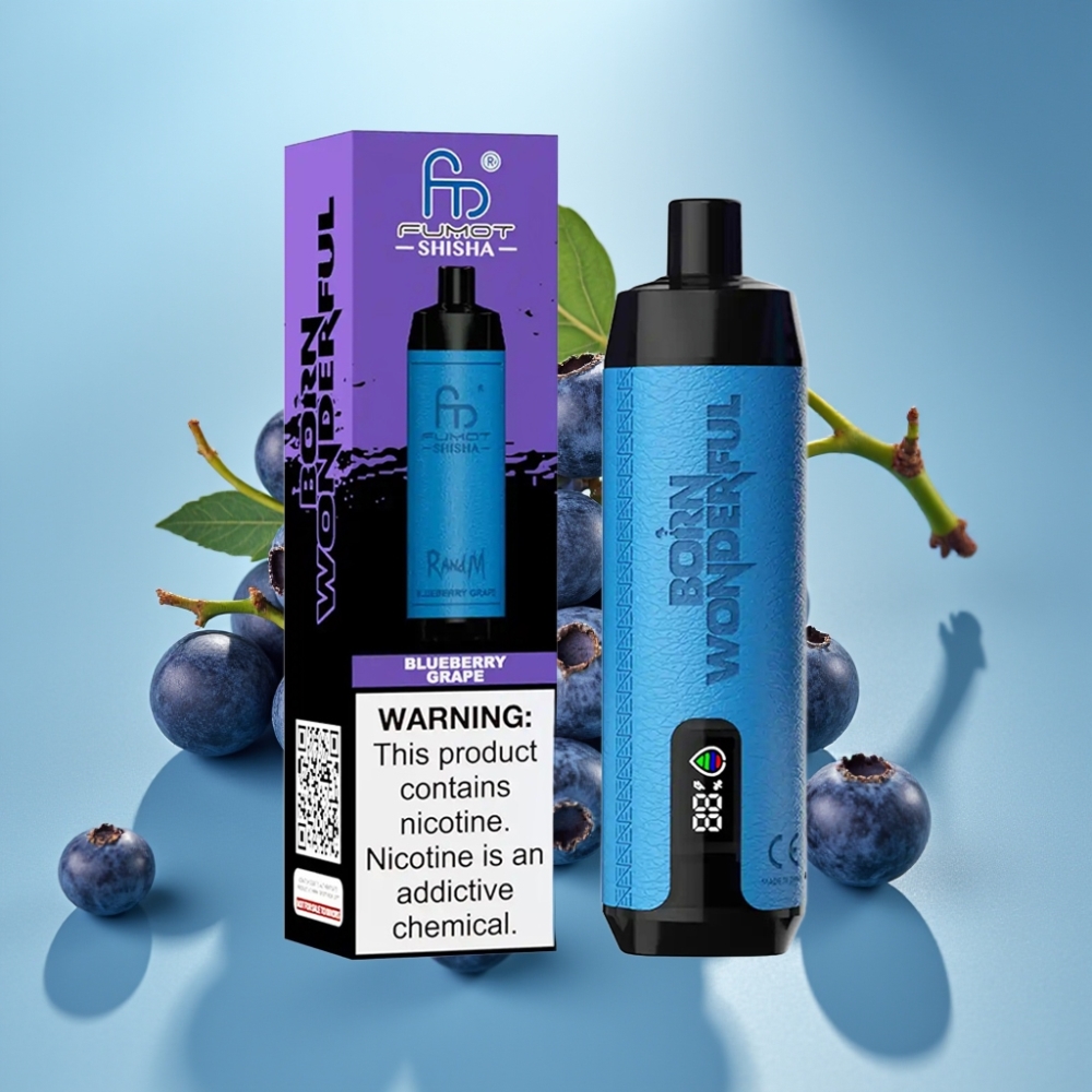 RandM Fumot Shisha 10000 Puffs LED Type-C Blueberry Grape
