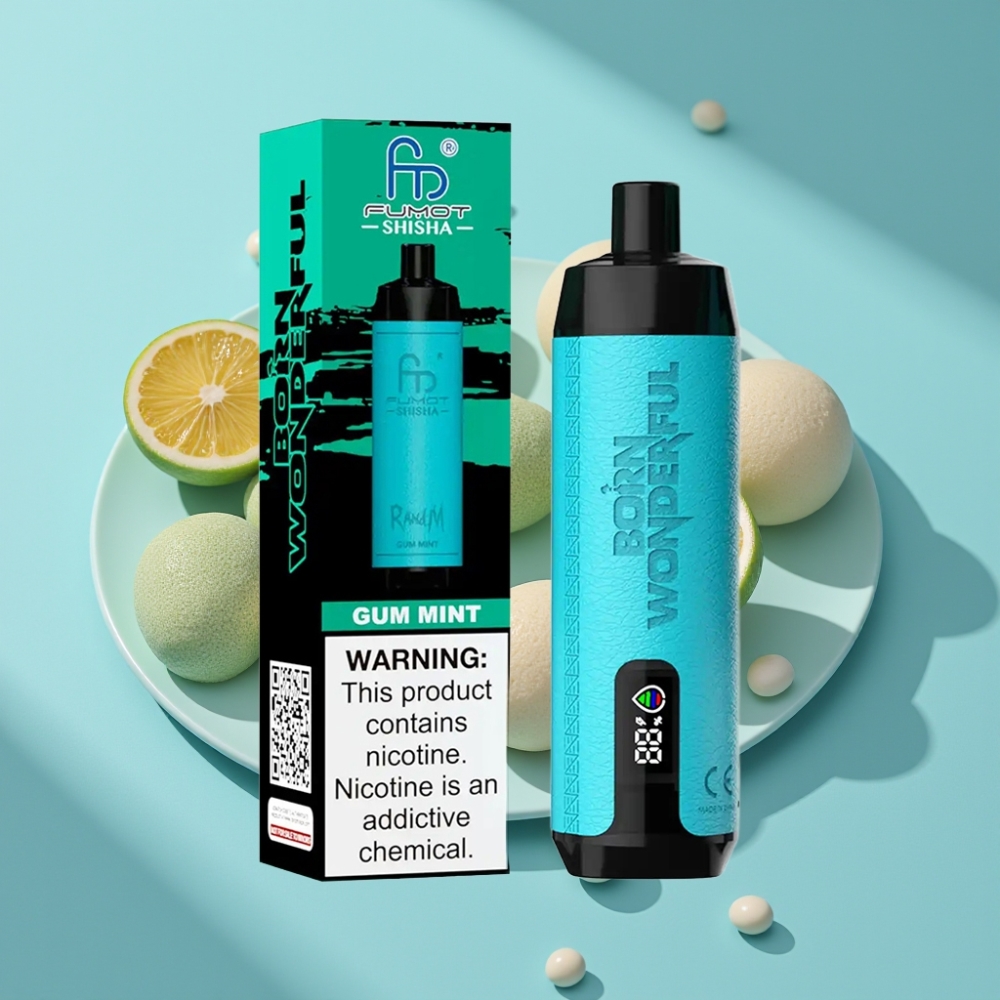 RandM Fumot Shisha 10000 Puffs LED Type-C Gum Mint