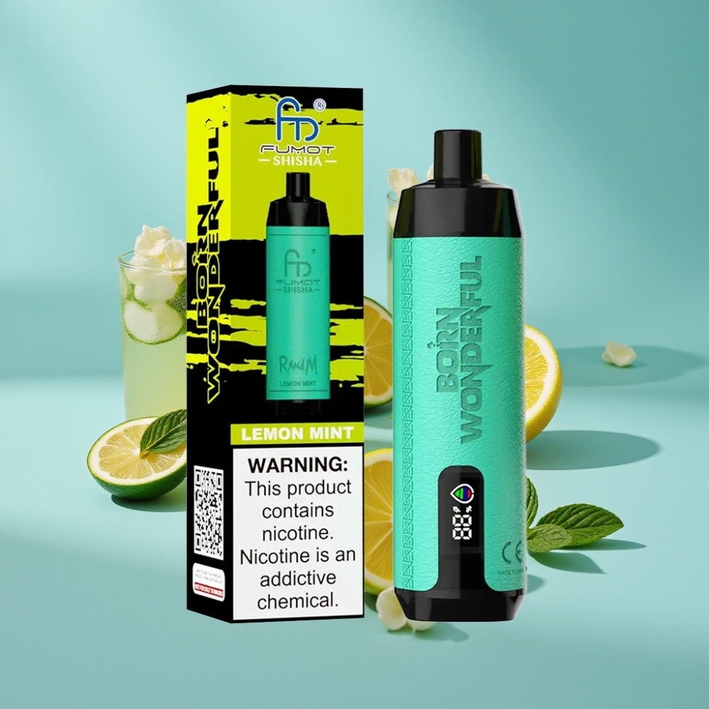 RandM Fumot Shisha 10000 Puffs LED Type-C Lemon Mint