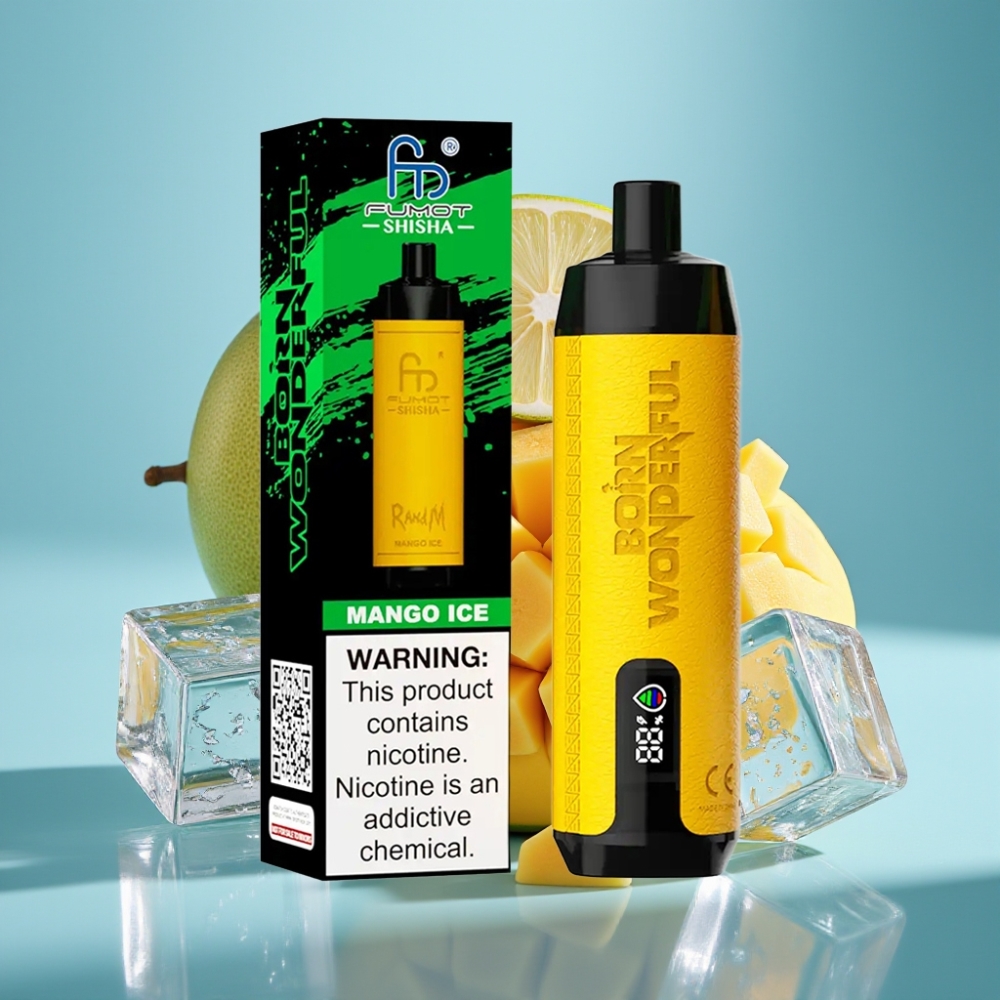 RandM Fumot Shisha 10000 Puffs LED Type-C Mango Ice