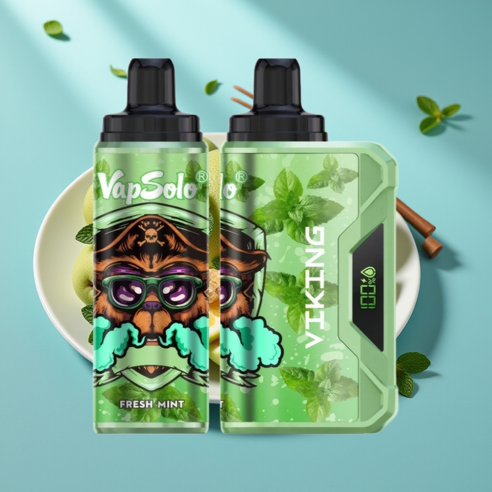 VapSolo VIKING 12000 Puffs 22ml Fresh Mint Type-C