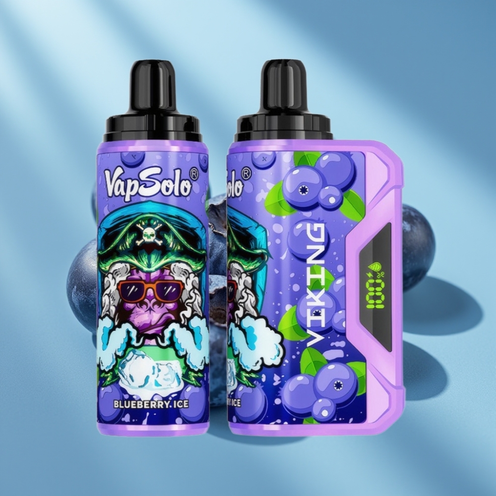VapSolo VIKING 12000 Puffs 22ml Type-C Blueberry